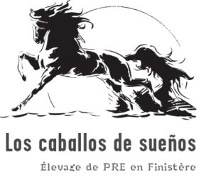 Los caballos de sueños